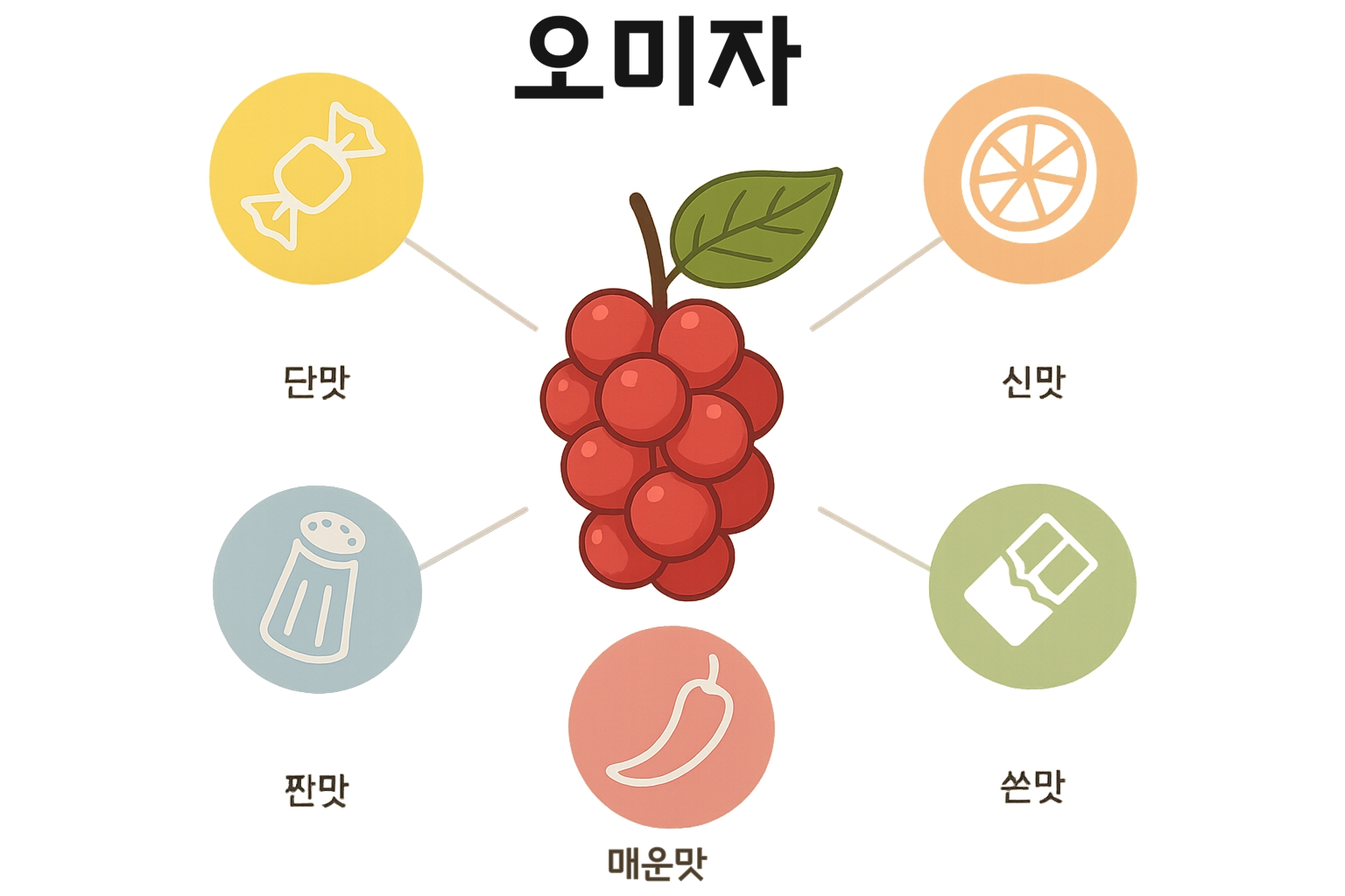 오미자 다섯 가지 맛 인포그래픽